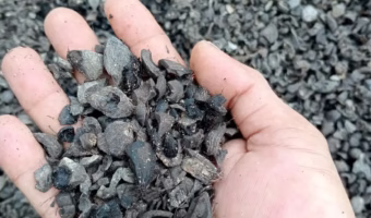 PKS Palm Kernel Shell