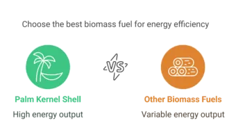 palm kernel shell calorific value